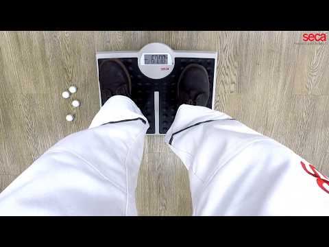 youtube - [Video]