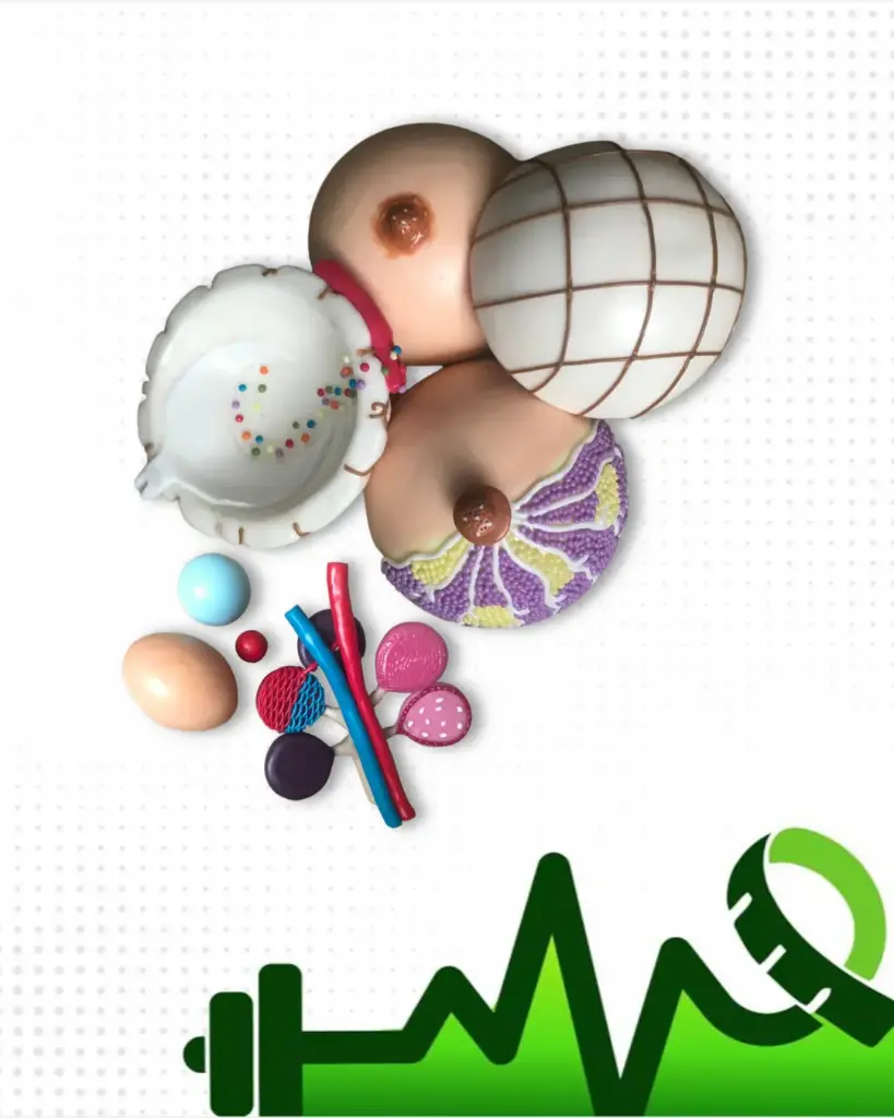 Anatomía y fisiología de LM