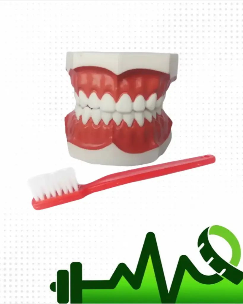 [MSO] Modelo salud oral
