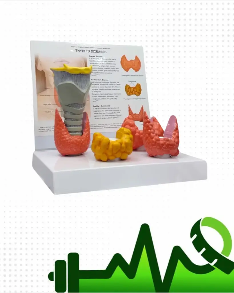 Tiroides con patologías