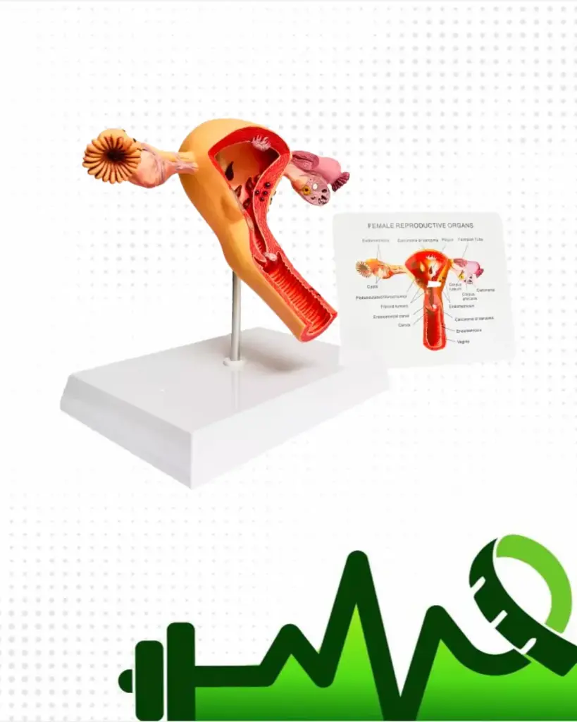 Útero con patologías