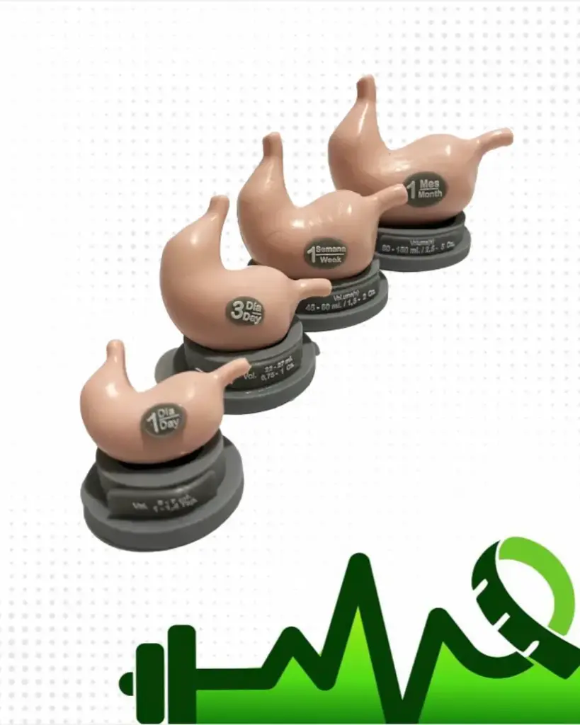 Estómagos del recién nacido