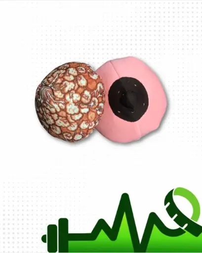 [MDF] Mama doble faz en tela